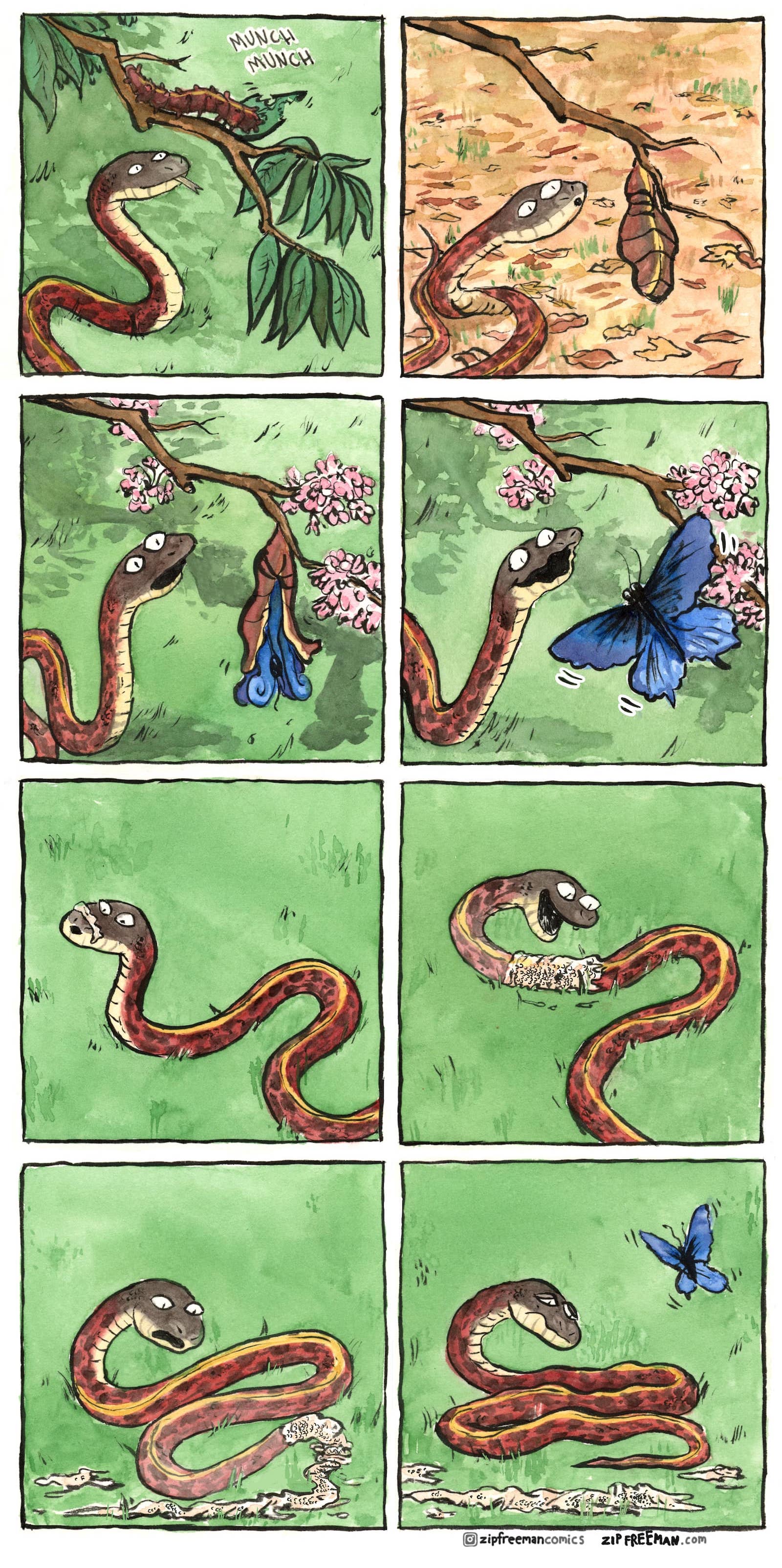 Snake and Butterfly